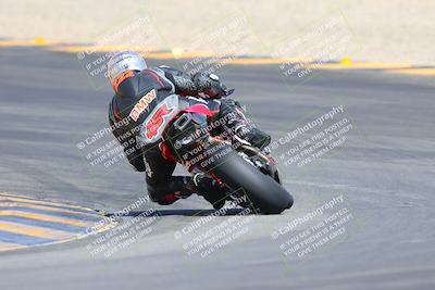 media/Mar-10-2024-SoCal Trackdays (Sun) [[6228d7c590]]/9-Turn 8 Backside (1150am)/